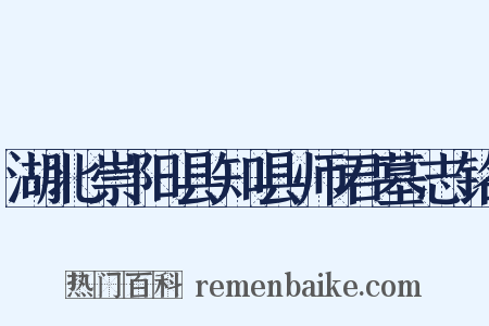 湖北崇阳县知县师君墓志铭是什么意思的图片